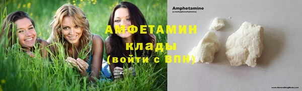 сатива Кукмор