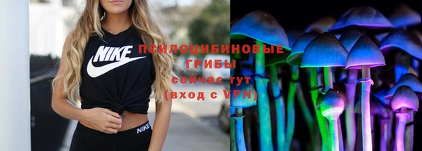 таблы Краснослободск
