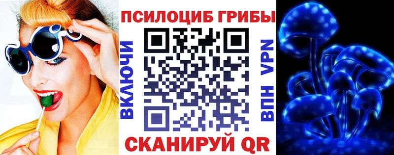 Псилоцибиновые грибы прущие грибы  купить   Саратов 